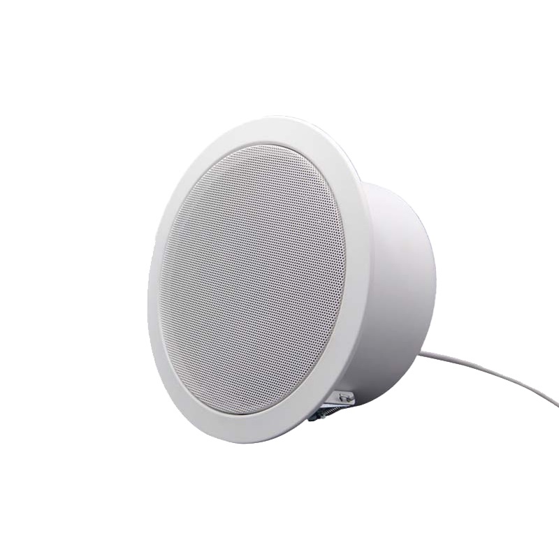 IP Ceiling Speaker