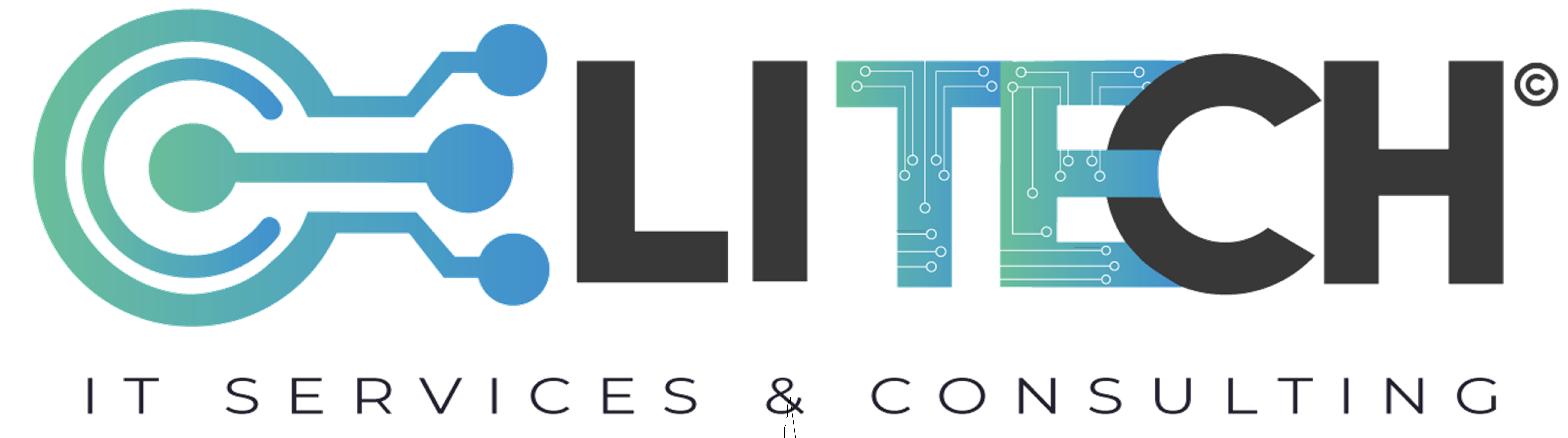 ELITECHIT
